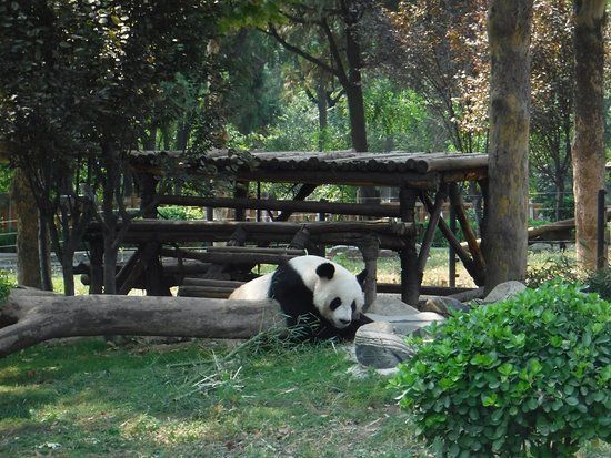 Jinan Zoo